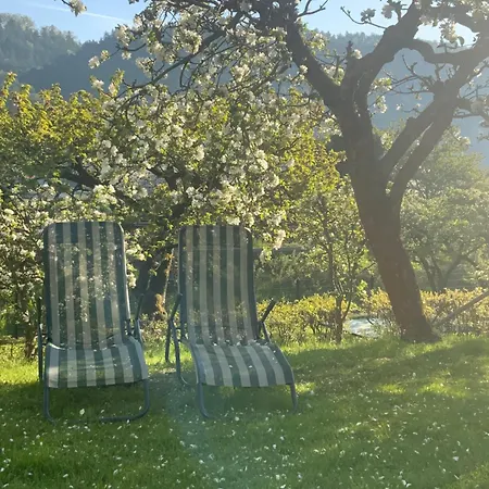 Hoenel-hof 3*