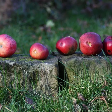 Gasthof Hönel-hof 3*
