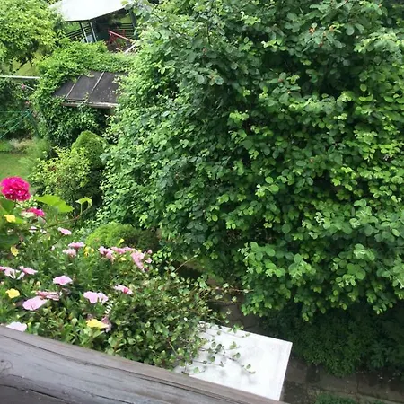 Gasthof Hönel-hof Bad Schandau